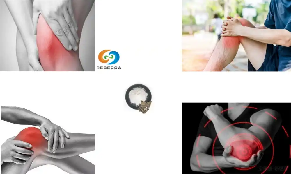 Can Birch Bark Extract Help with Joint Pain Relief?